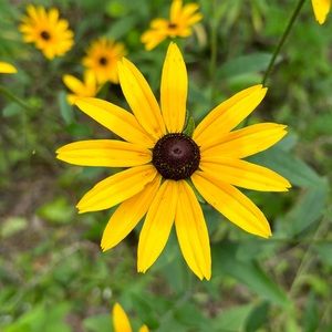 Please like if you would like to be added to my live shows! 😍😍😍